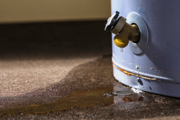 Best Flood damage cleanup  in Paris, TX
