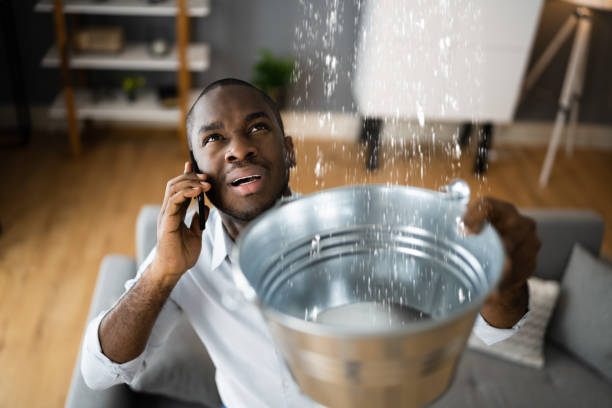 Best Ceiling water damage repair  in Paris, TX