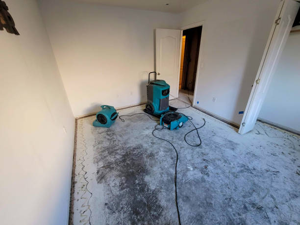 Best Water damage restoration near me  in Paris, TX