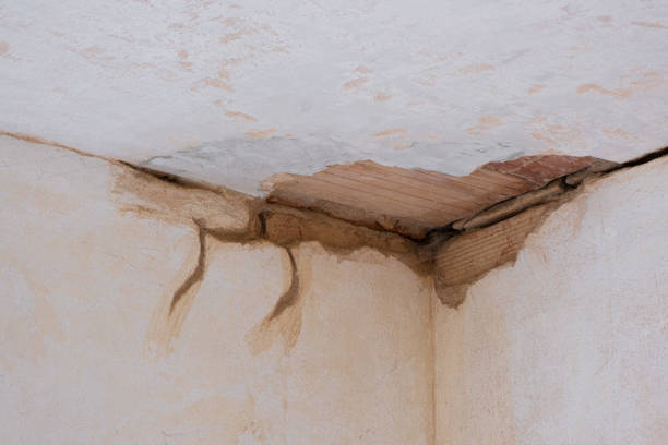 Local water damage restoration in TX